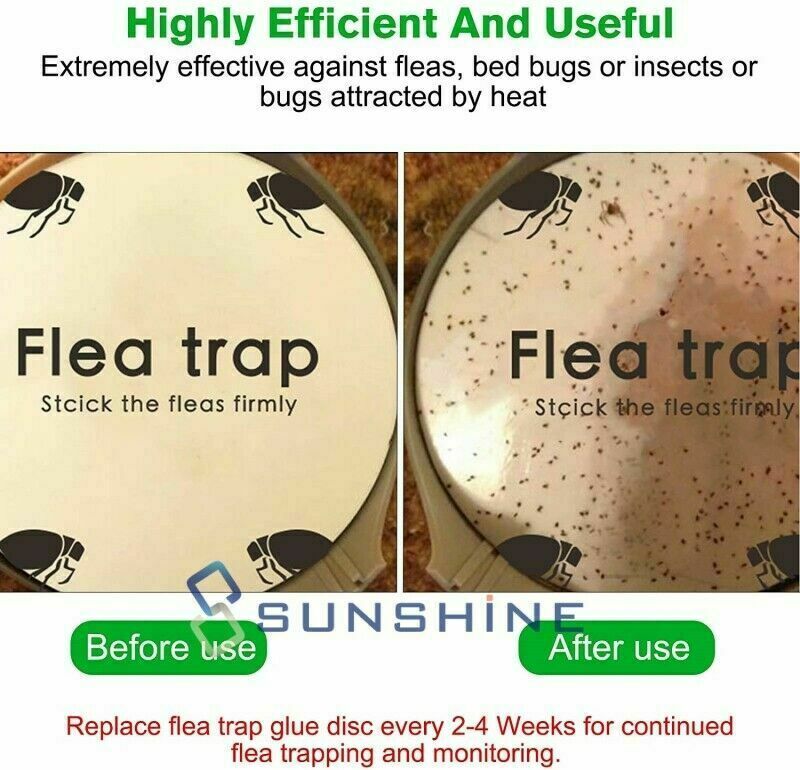 5 Flea Trap Refill Sticky Discs Replacement Glue Bug Fly Insects Catcher Boards