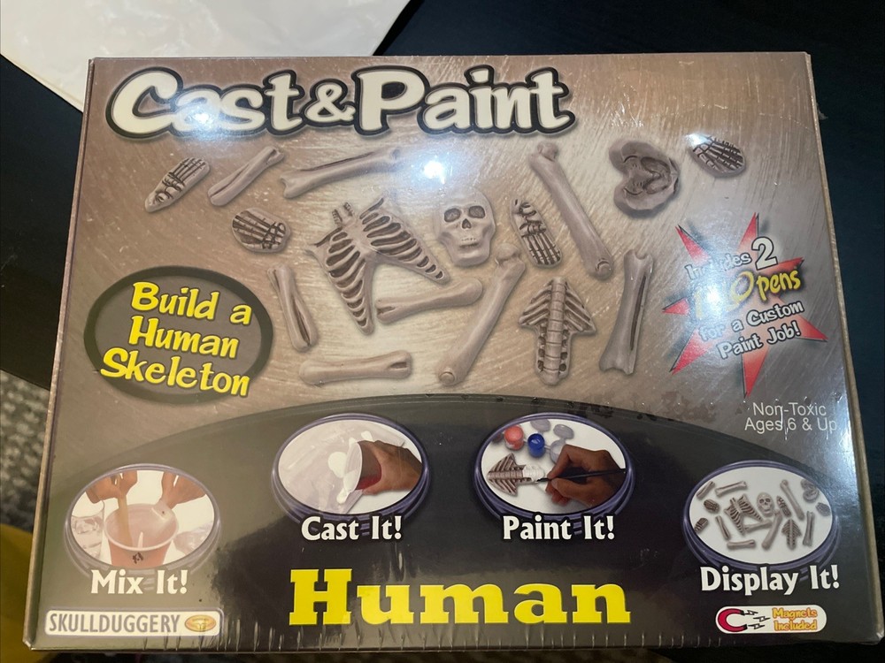 Human Skeleton Custom Cast & Paint Kit - 18 " - Bones Project Science - NIB