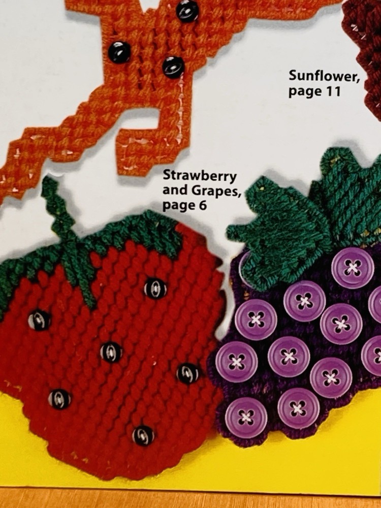 Button Magnets Plastic Canvas Patterns House of White Birches 36 Projects