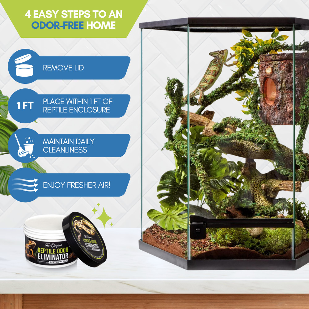 Reptile Odor Eliminator - Fresh Scent!