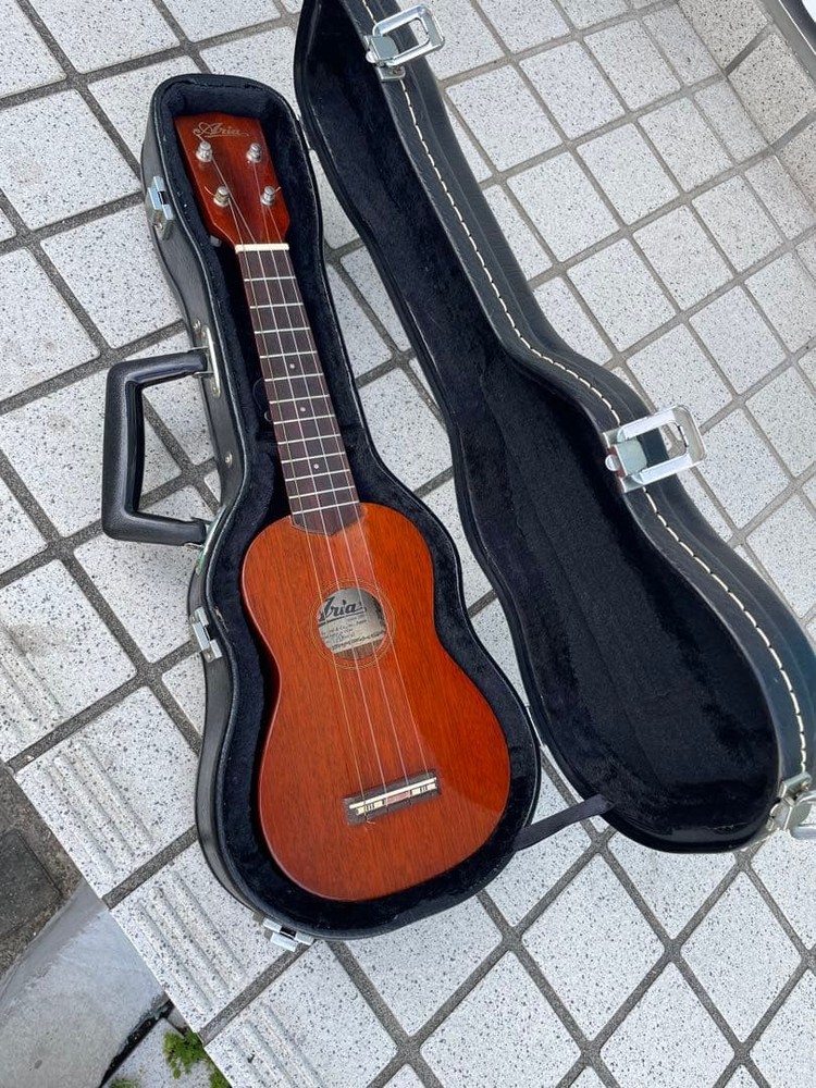 Aria ukulele with bird case