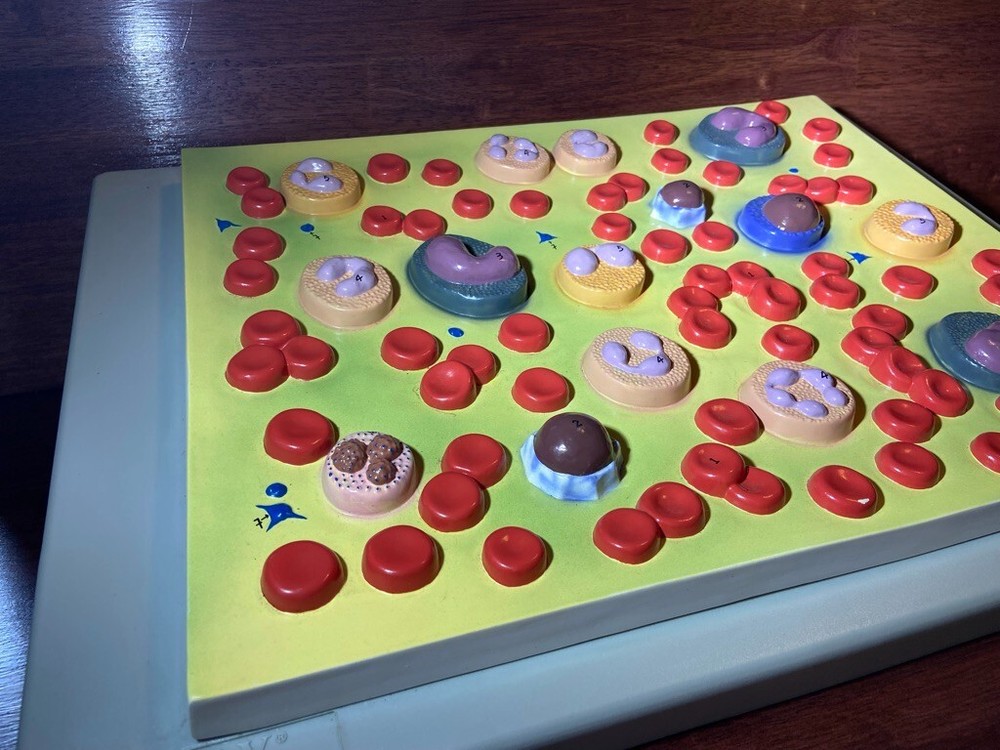 Altay Human Blood Cell Types Model