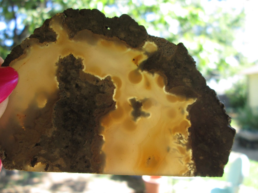 Incredible Agate Slice 3" x 2" Slice  Mineral Gemstone 1/8" Thick