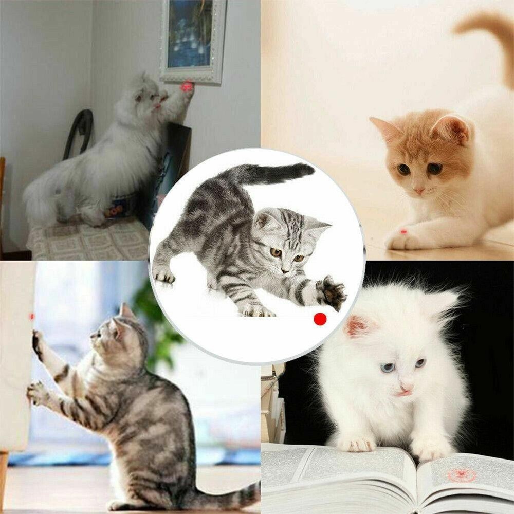 Red Light Laser Pointer Rechargeable Flashlight Cat Toy Adjustable Focus