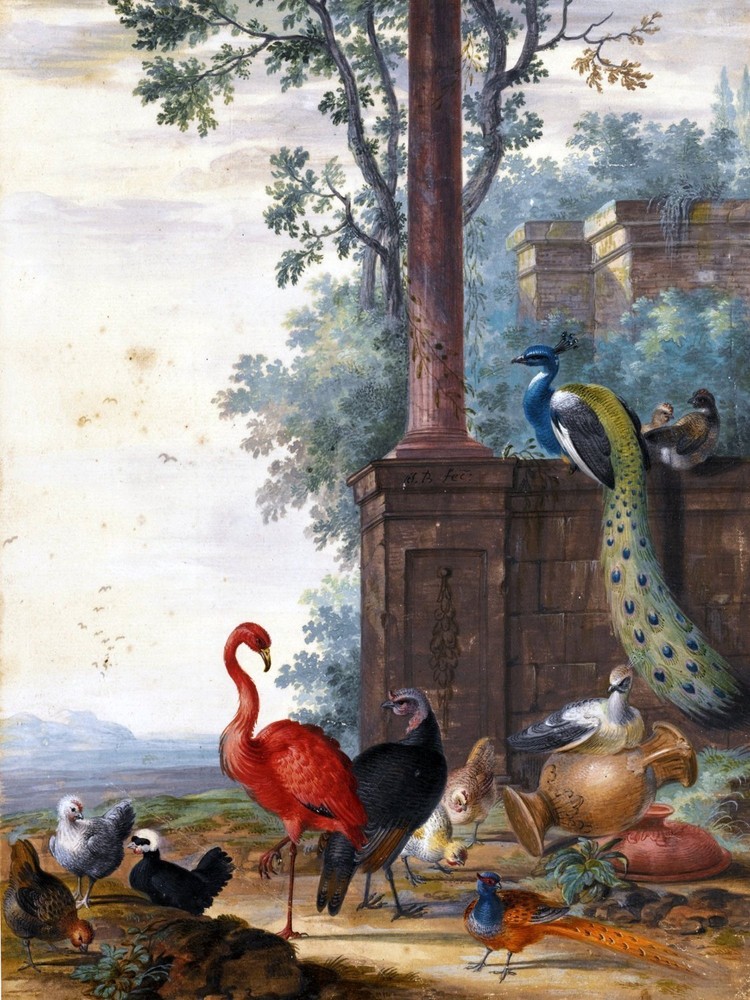 LANDSCAPE WITH A PEACOCK Tile Mural Kitchen Bathroom Wall Backsplash Ceramic 6x8