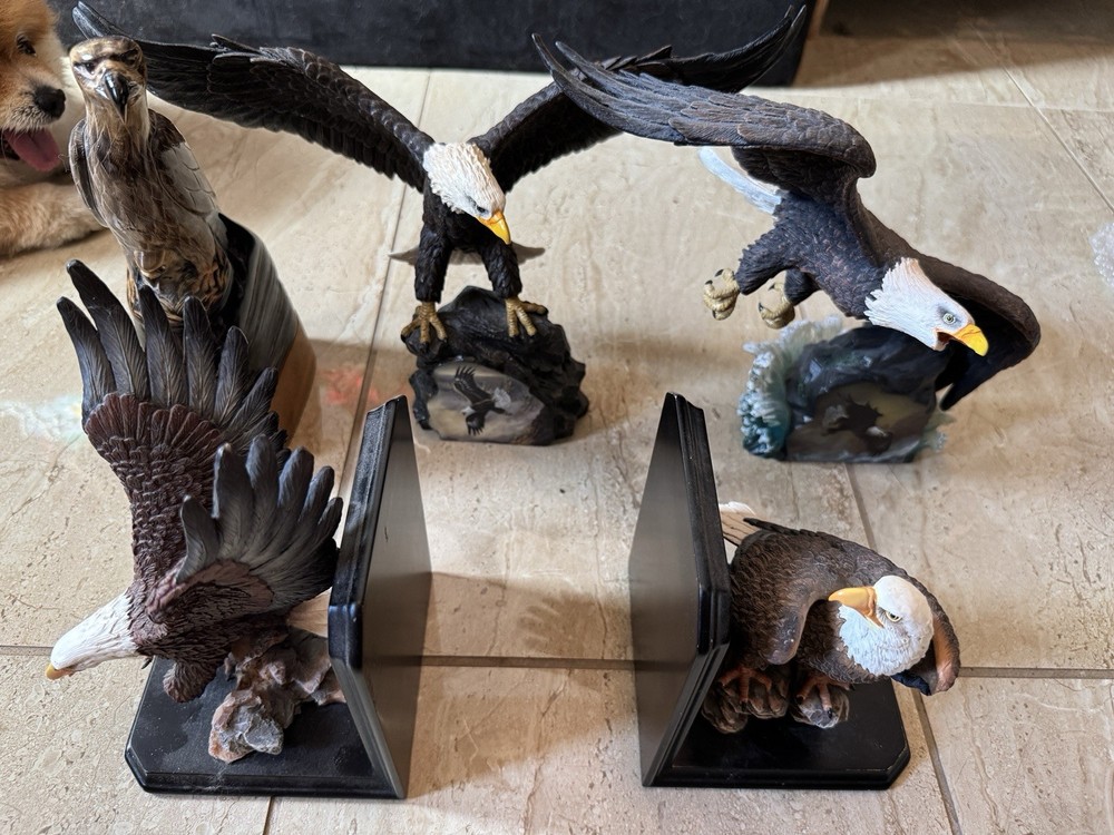 Sets Of 5 Eagles Beautiful Collection