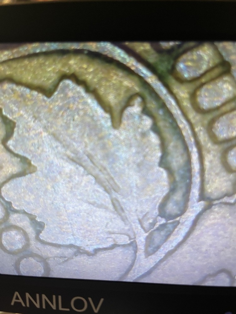 1888 Canada Large Cent