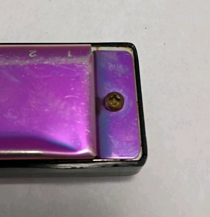 Small Fish Beginners Harmonica Harp 10 Hole Diatonic 10 Hole