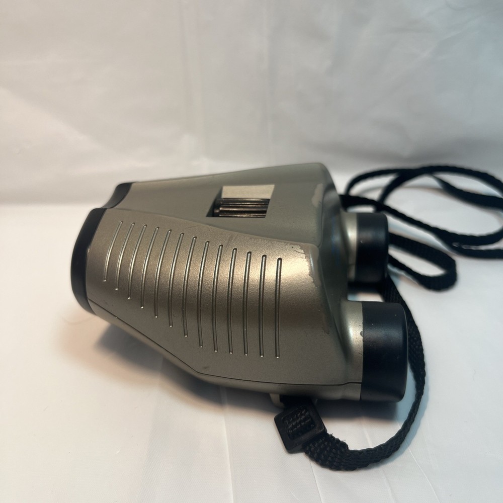 Panaview binoculars 6 X 20mm field 7° silver with strap