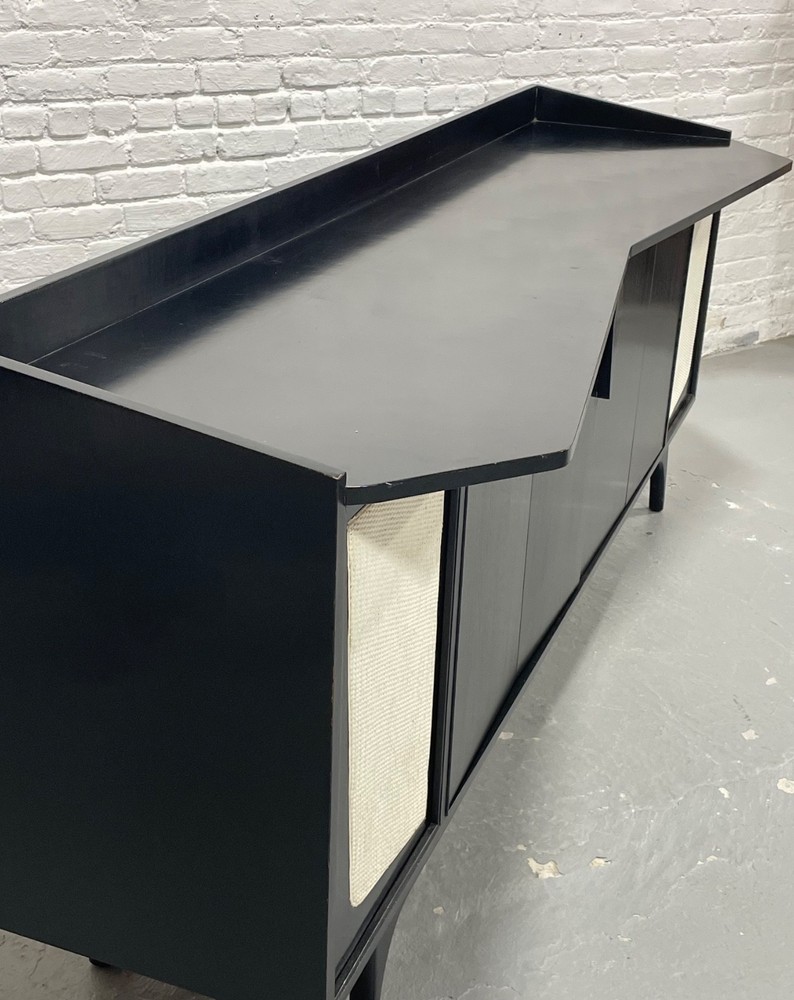 Extra Long Ebonized Mid Century Modern Stereo Cabinet / Credenza | Sideboard