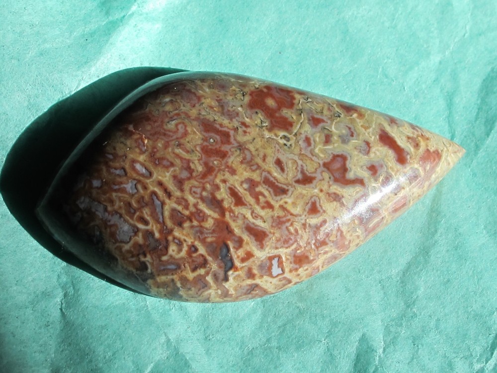 Dinosaur Bone * Large Unique Cabochon - 60 cts.