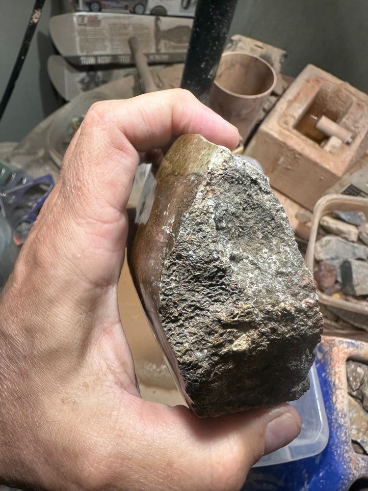 Dinosaur bone polished 3.5 lb large cell specimen.