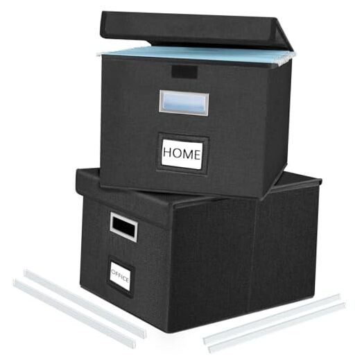 Upgraded File Organizer Boxes with Lids,  2 pack - without folders Black