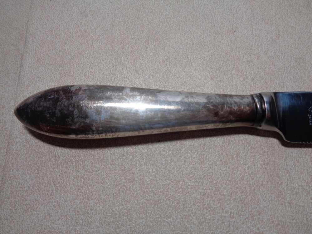 Silver Handle Raimond Sheffield England Cake Knife, Stainless Blade