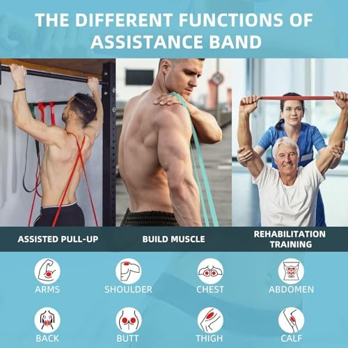 Resistance Bands, Pull Up Bands, Pull Up Assist Band Exercise Bands for Green