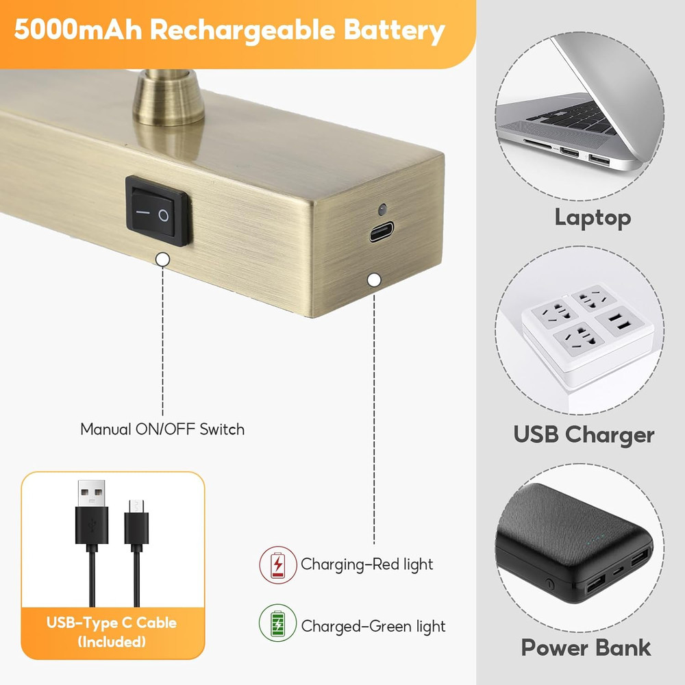 Battery Operated Picture Light with Remote, Dimmable Art Light (Bronze, 12")