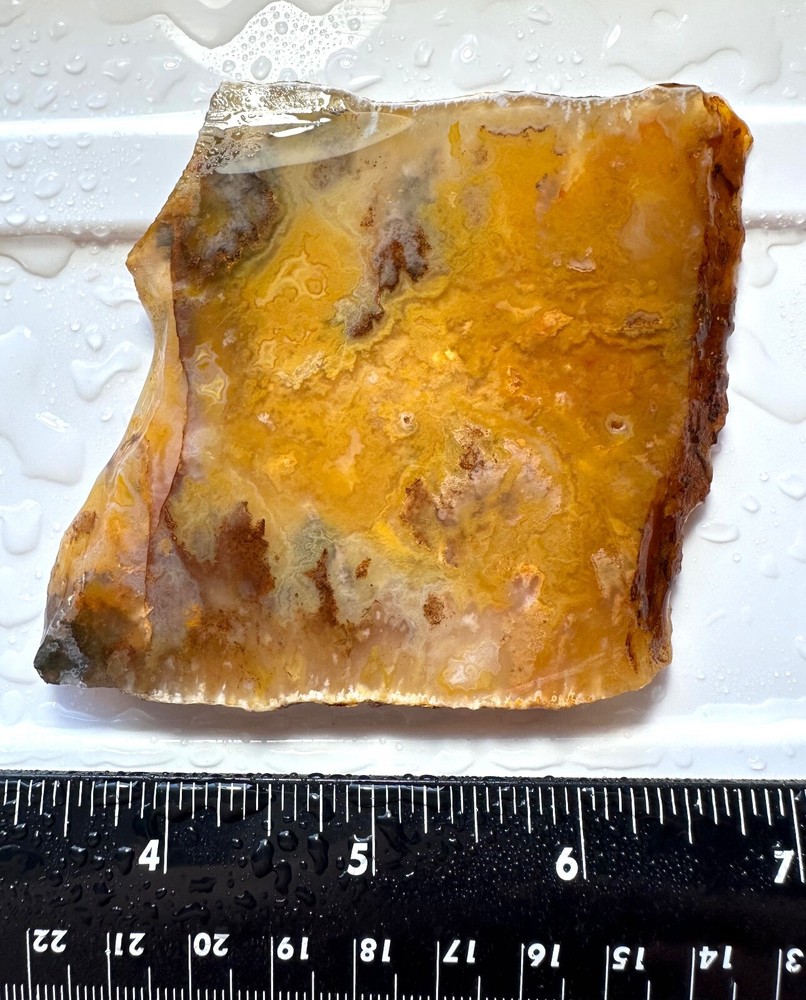 Graveyard Point Plume Agate Slab, 86 grams, Cabbing/Lapidary