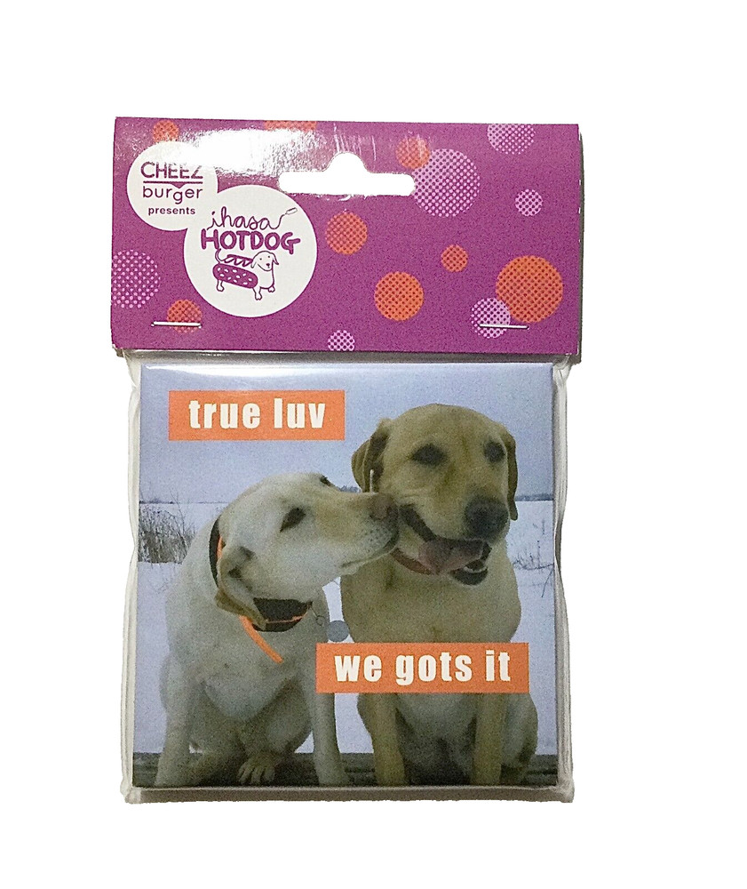 Cheezburger 3"x3" Dog Magnet - true luv, we gots it