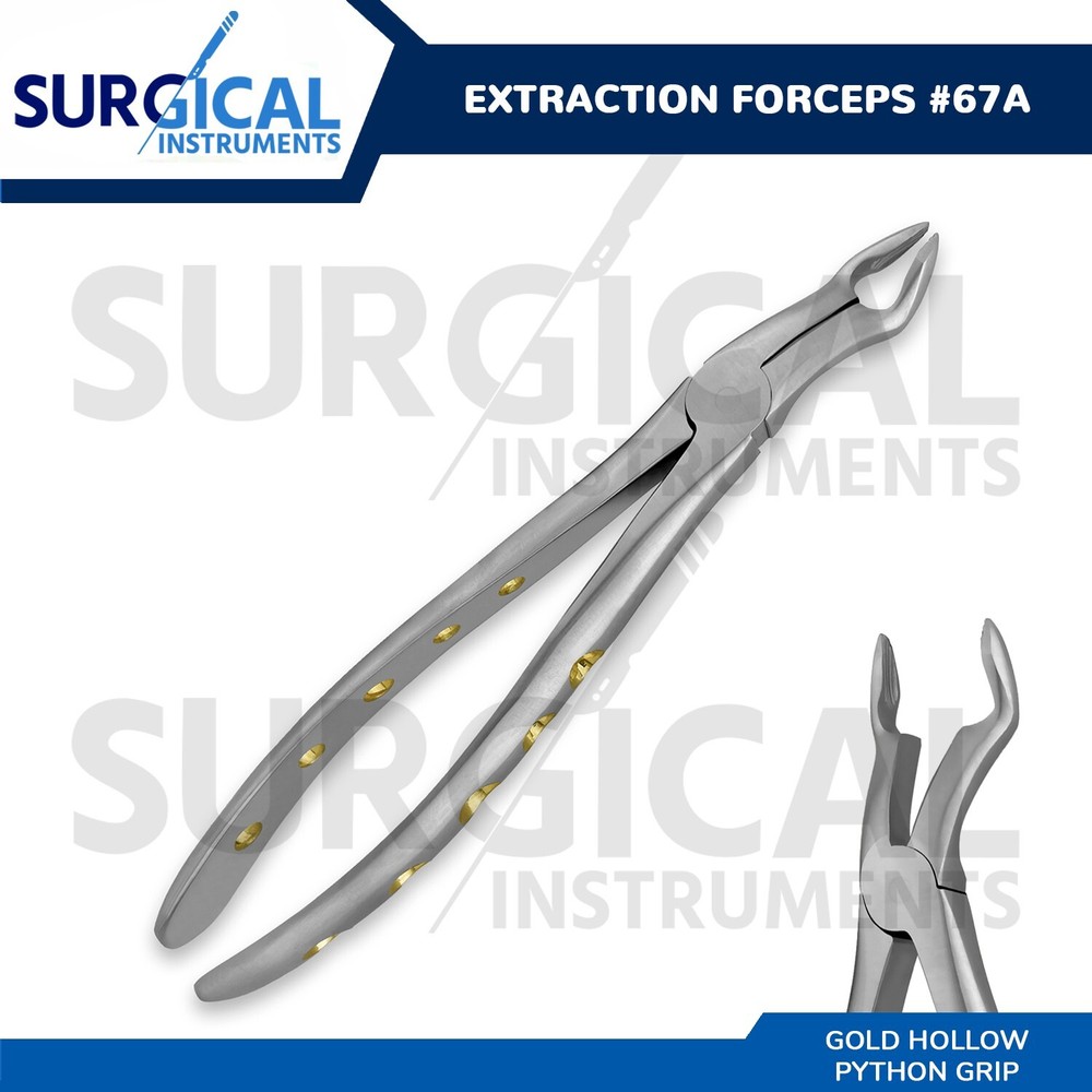 Heavy Duty Stainless Extraction Forceps #67A - Gold Hollow Python Grip German Gr