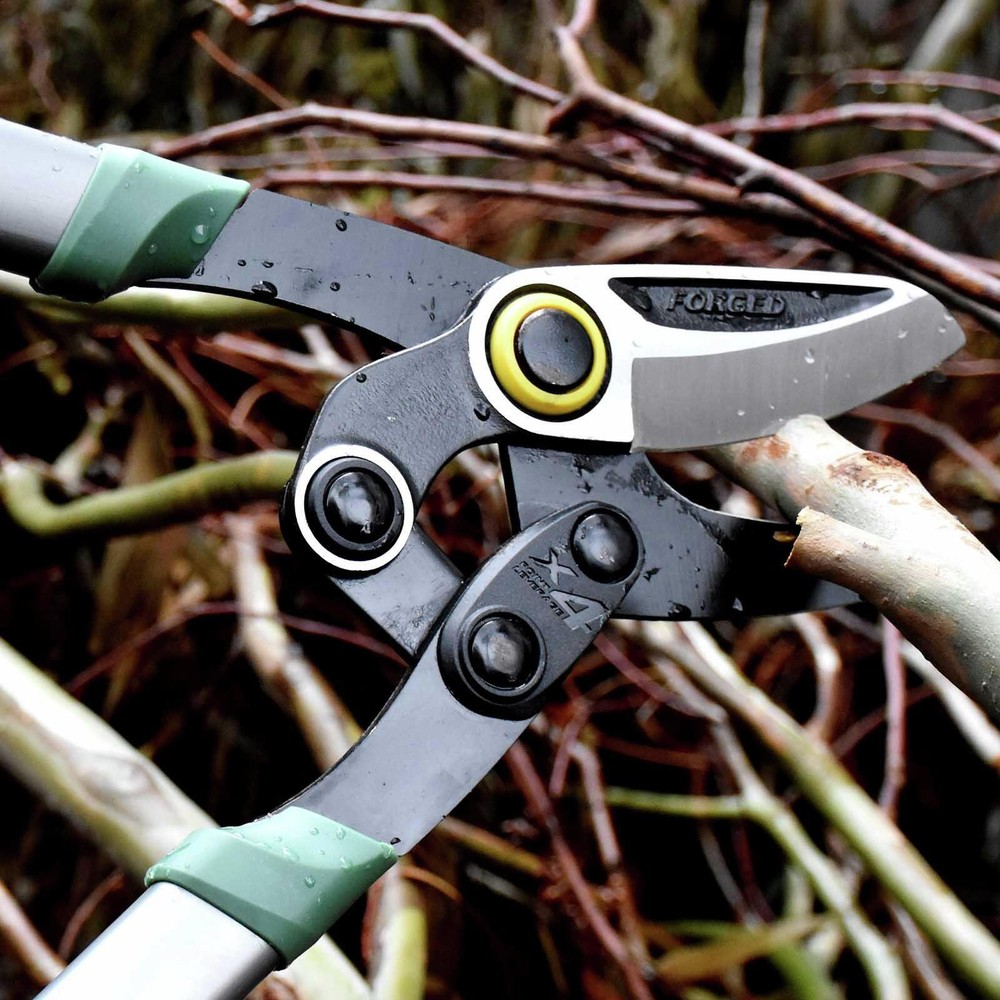 Cyclone Bypass Compound Lopper