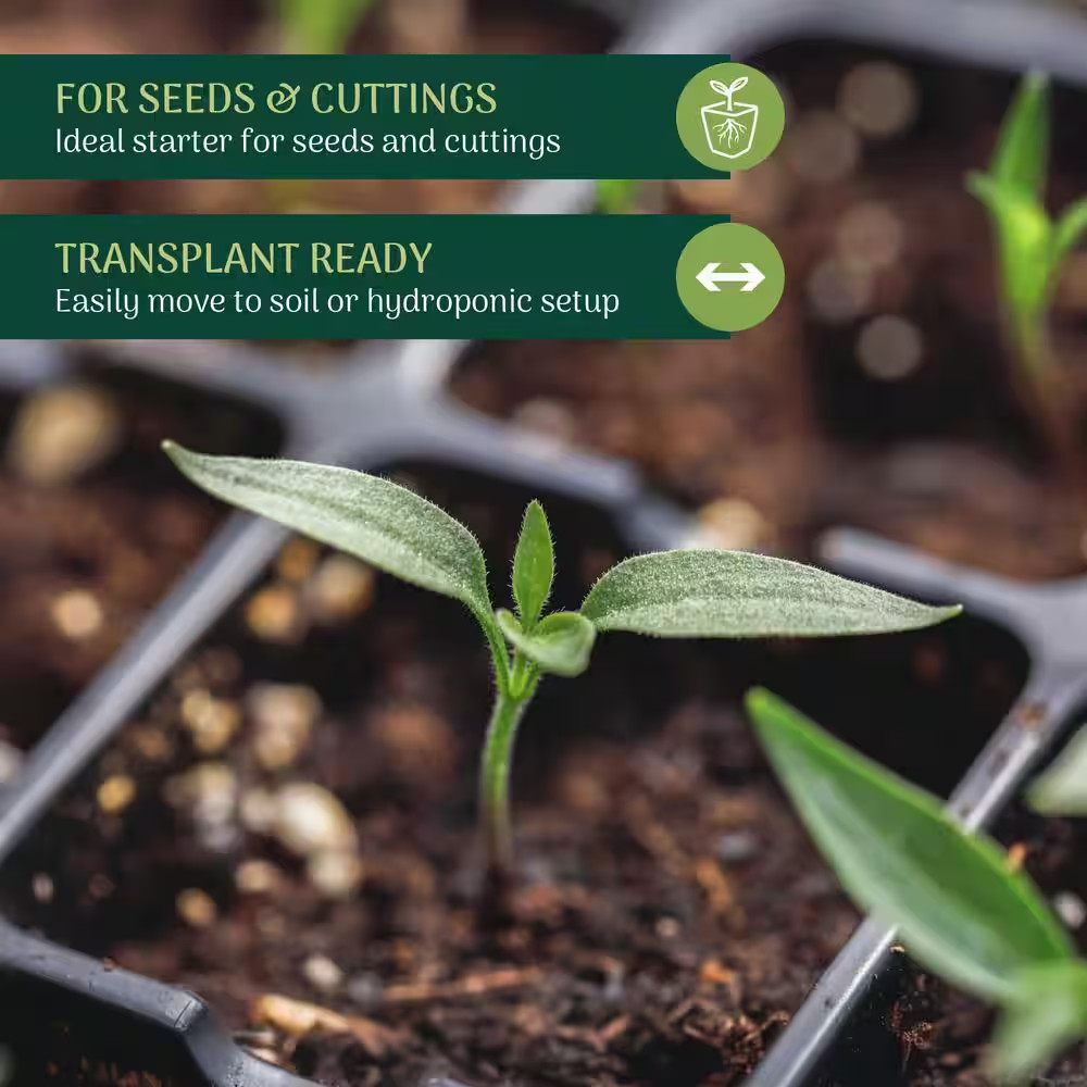 Seed Starter Plugs for Seedings and Cuttings (1000 Pack)
