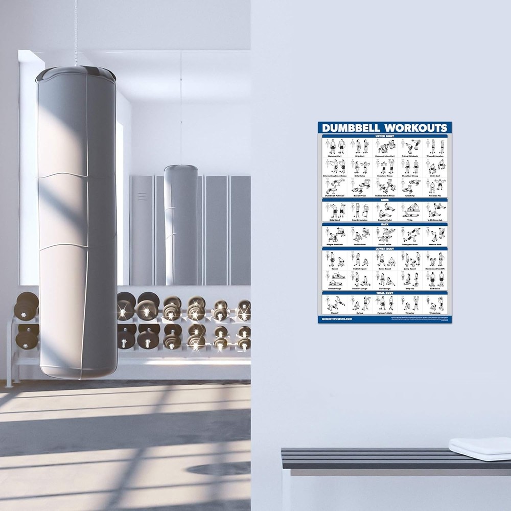 Dumbbell Workout Poster 18"x24" – Laminated Exercise Chart