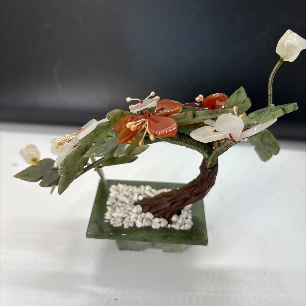 Curved Chinese Jade Tree