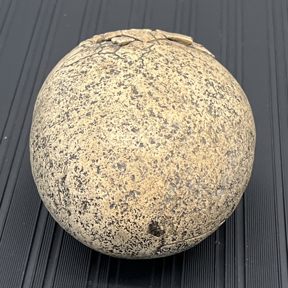 1994 Windstone Edition 94 Pena - Hatching Stone Egg