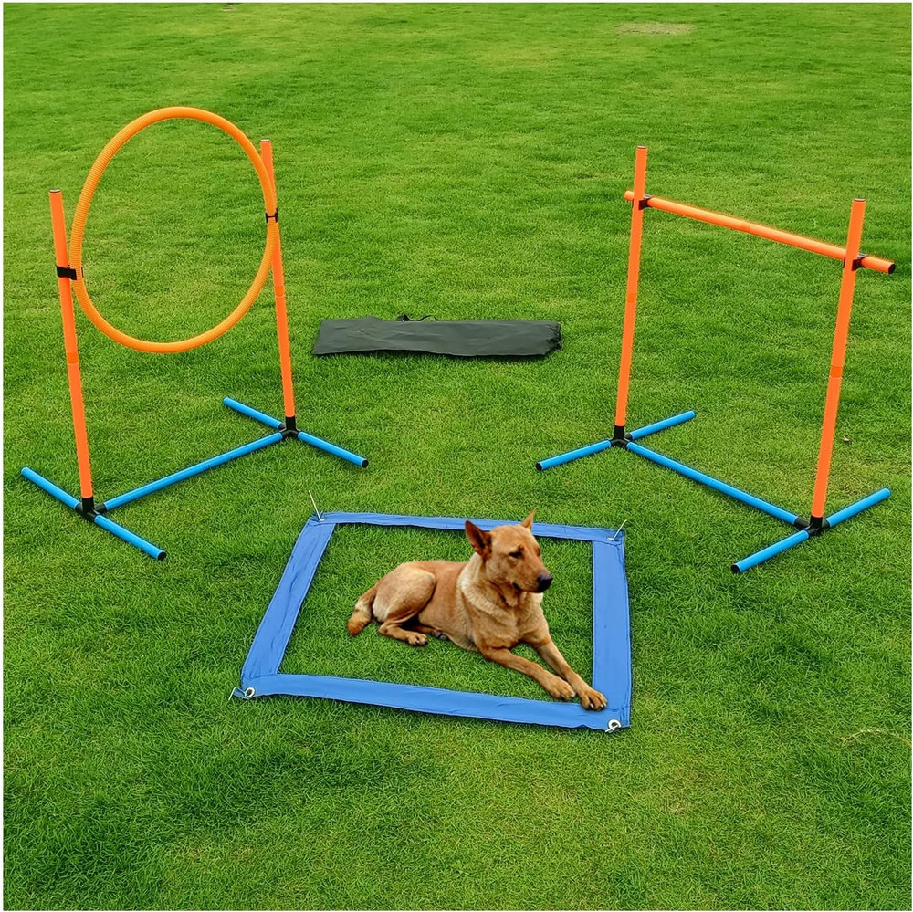 Dog Agility Training Equipment, Dog Obstacle Course Training Starter Kit Pet , J