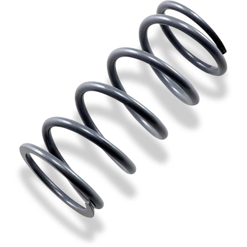 EPI Primary Clutch Spring Silver PS-6