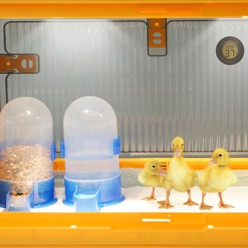 Chick Brooder Box for Chicks, Brooder Box with Feeder and Waterer, Large
