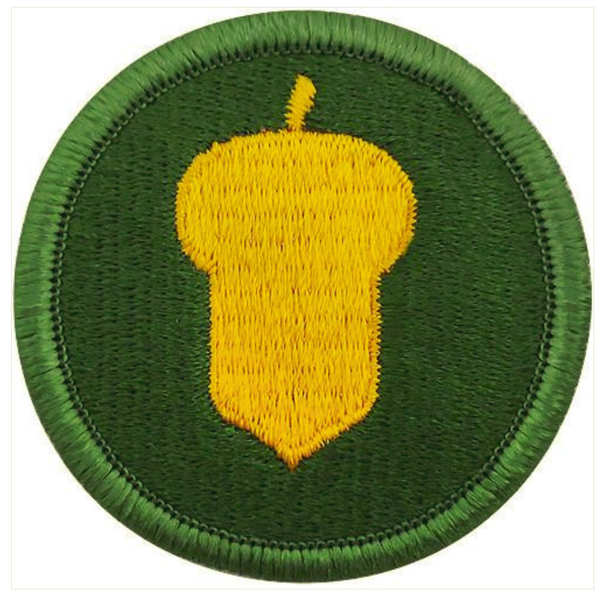 Vanguard ARMY PATCH: 87TH US ARMY RESERVE SUPPORT COMMAND - COLOR