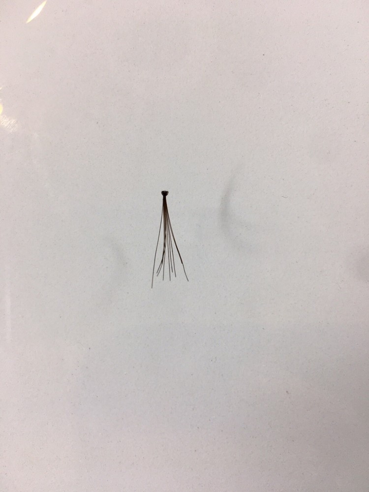 Elite Cosmetics False Eyelashes Individual #27 Black
