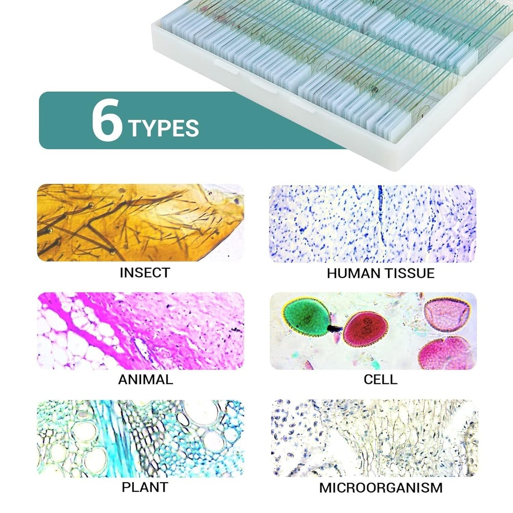 100 Microscope Slides with Specimens for Kids and Adults, Prepared Microscope...