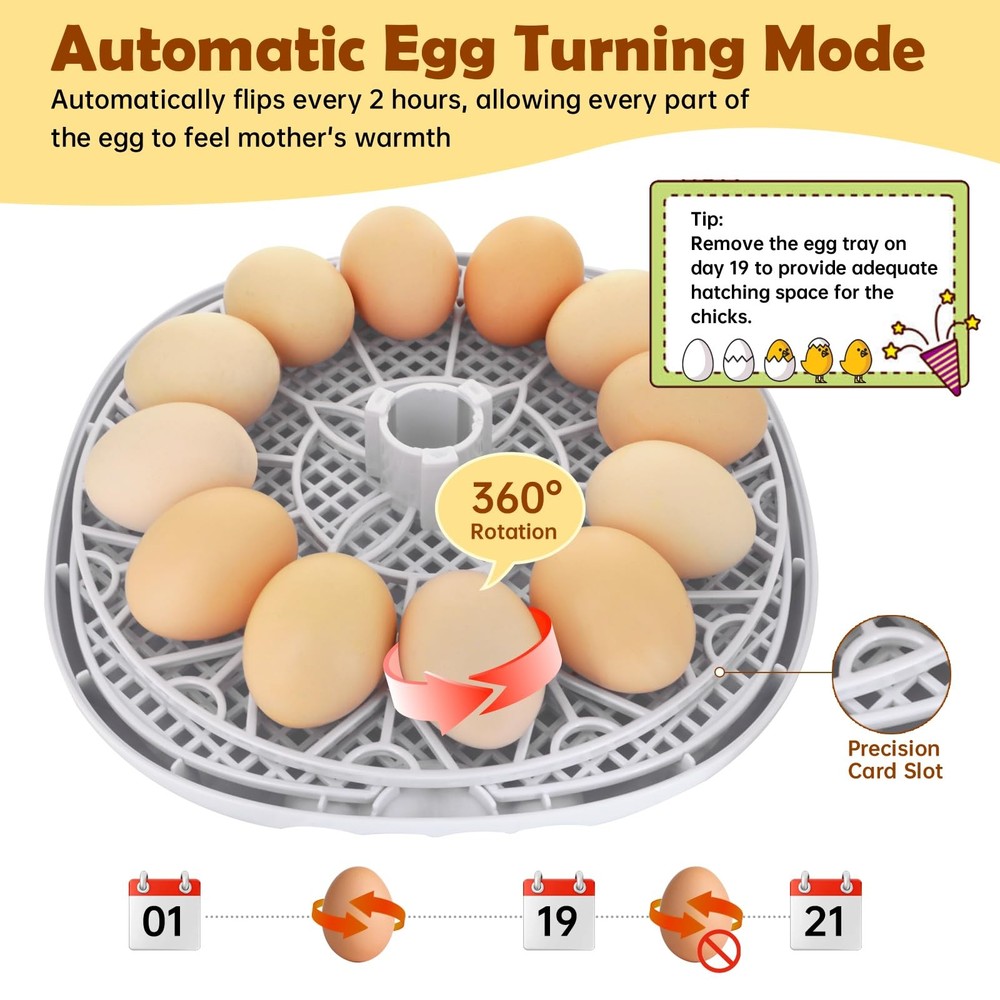 Egg Incubator for Hatching Chicks, Automatic Egg Turner Holds 12 Eggs, Smart ...