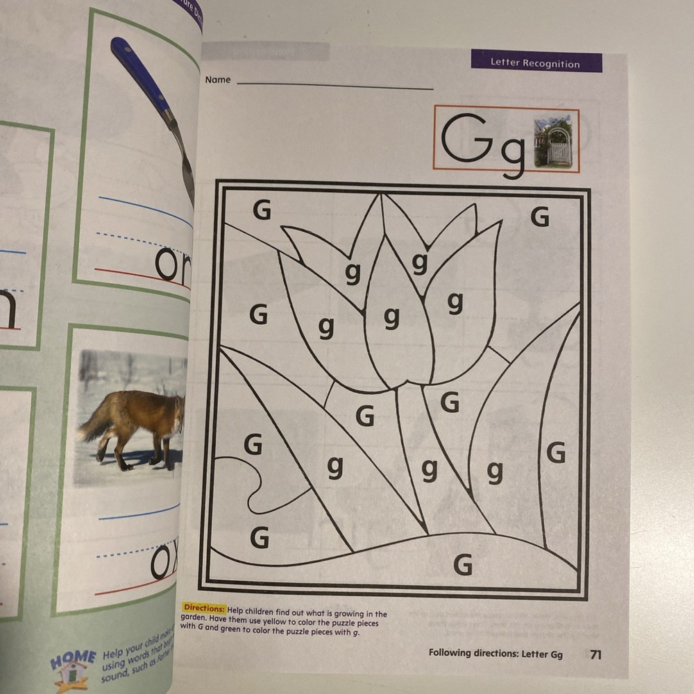 Plaid Phonics, Level K, Clean Pages, No Writing