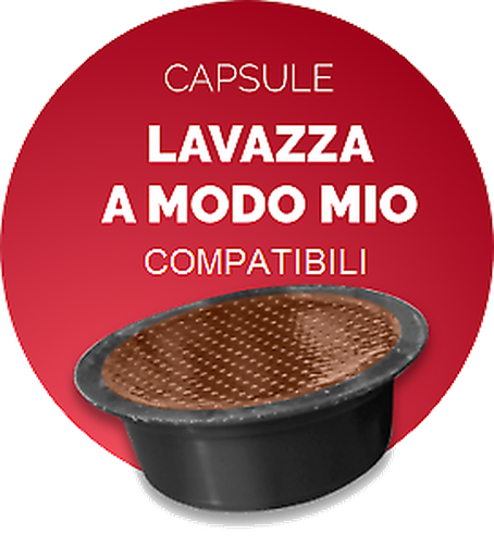 Ginseng Coffee Borbone - 16 Capsules Compatible A MODO MIO from 7g