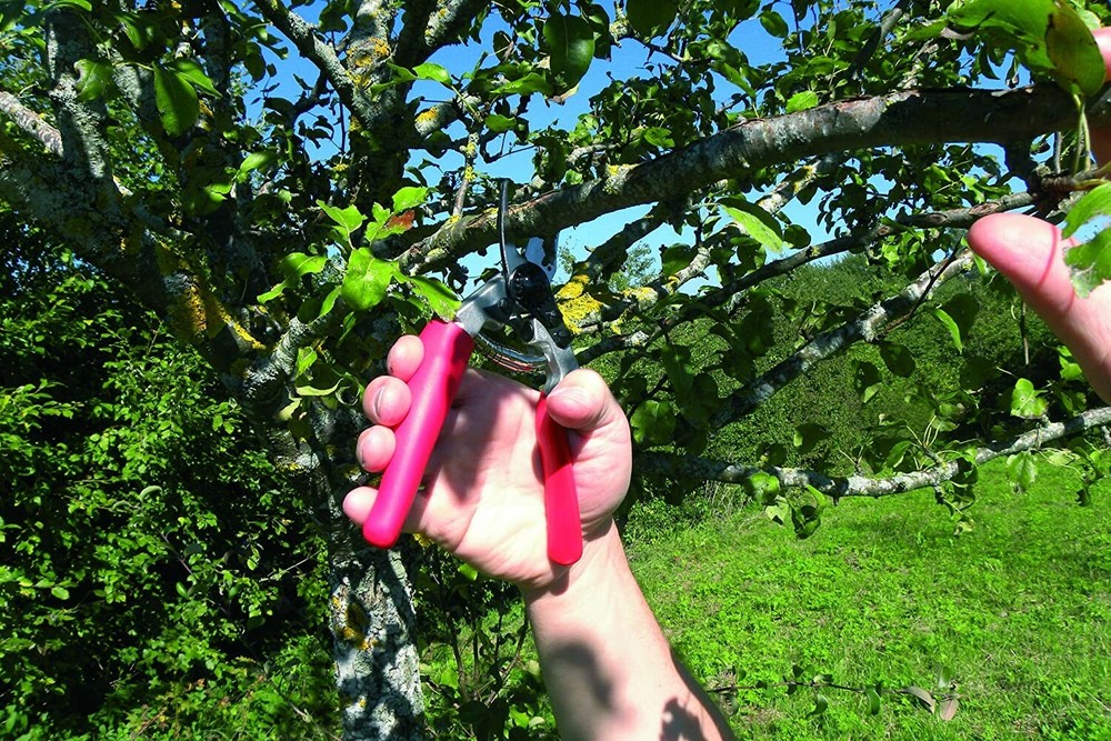 Felco 12 Hand Pruner, Compact, Rotating Handle, Swiss Made