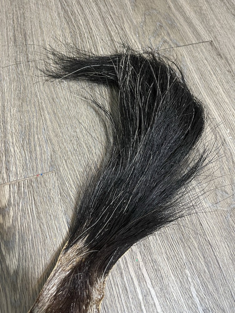 African Gemsbuck Antelope 1/2 Hide Long