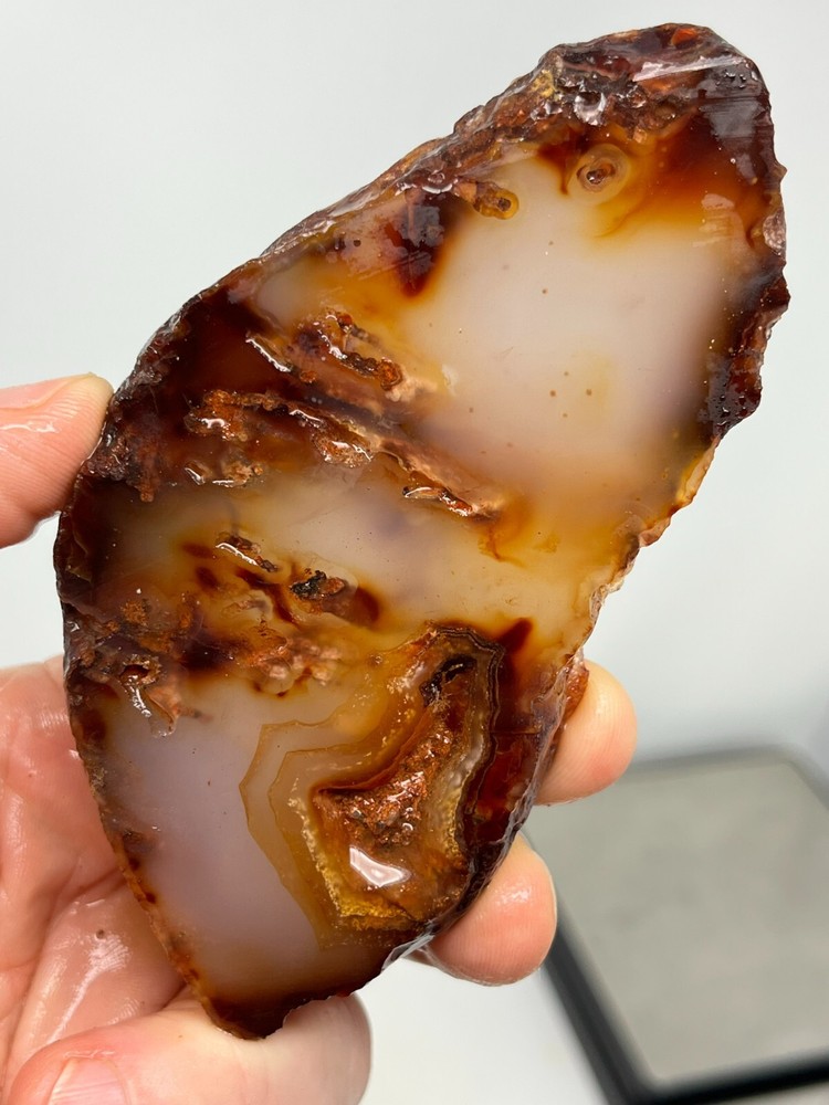 Thick Translucent Carnelian Agate Slab Lapidary Cabbing Combo Ship Avail