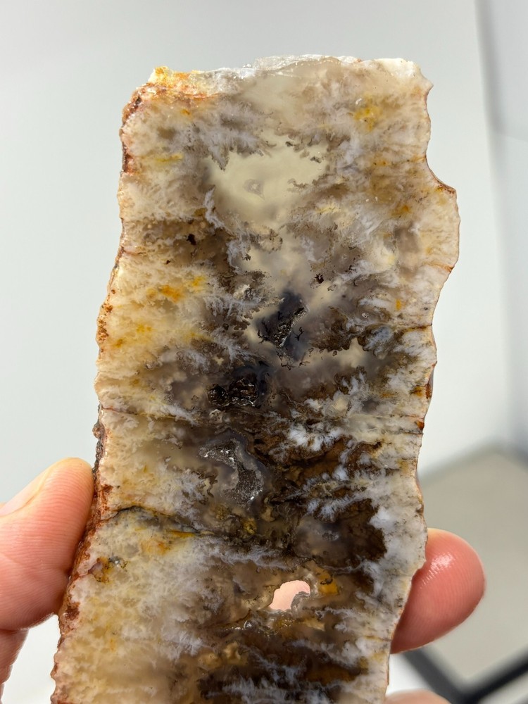 Plume Agate slab Cabbing Lapidary Combo Ship Avail Oregon