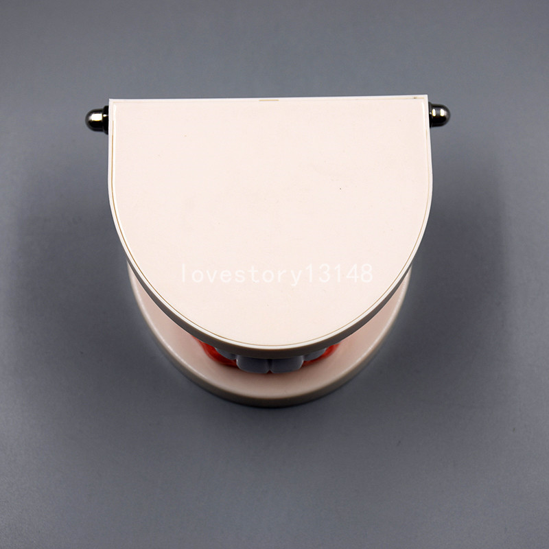 Dental Teaching Study Adult Standard Typodont Demonstration Teeth Model Hot