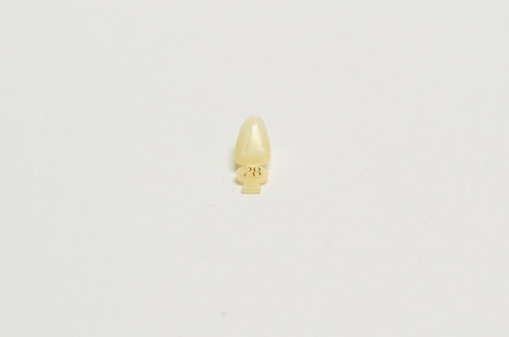DENTAL POLYCARBONATE TEMPORARY CROWNS #28 (ULL) UPPER LEFT LATERAL 5/PACK