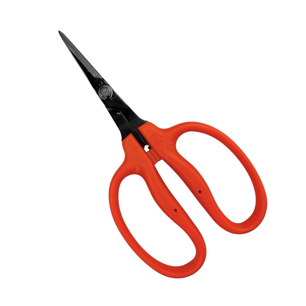 Chikamasa B-500h Orange
