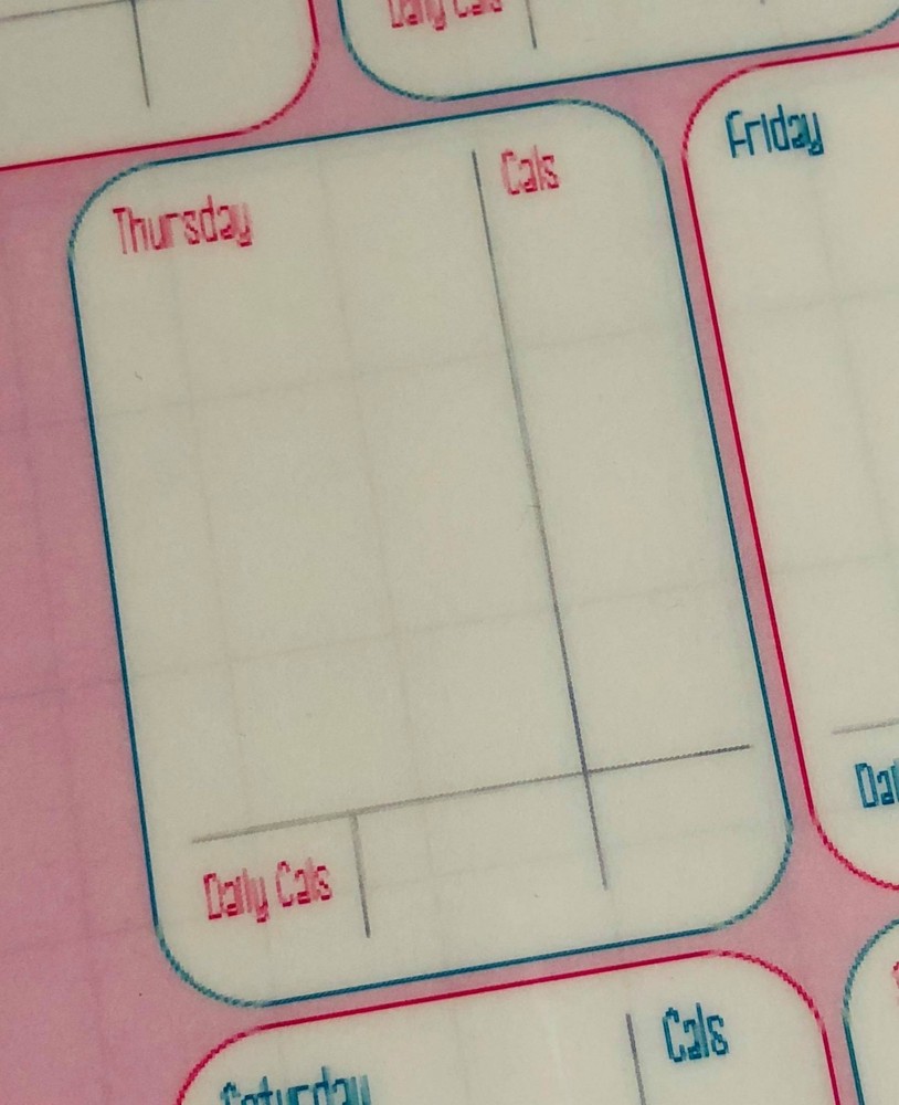 Calorie Counter Dashboard Insert 4 use with Happy Planner