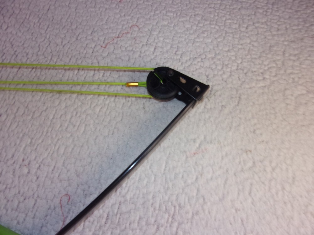 Bear Apprentice Youth Compound Bow