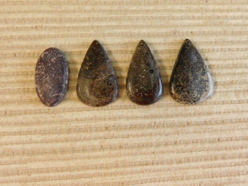 Dinosaur Bone Cabochons - 4 pcs