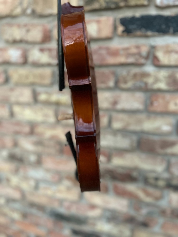 Maestro violin with two bows
