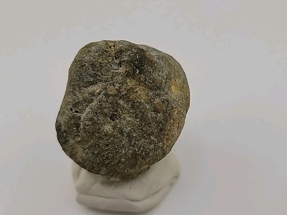 Real Permineralized Dinosaur Half Egg Embro Uv Reactive