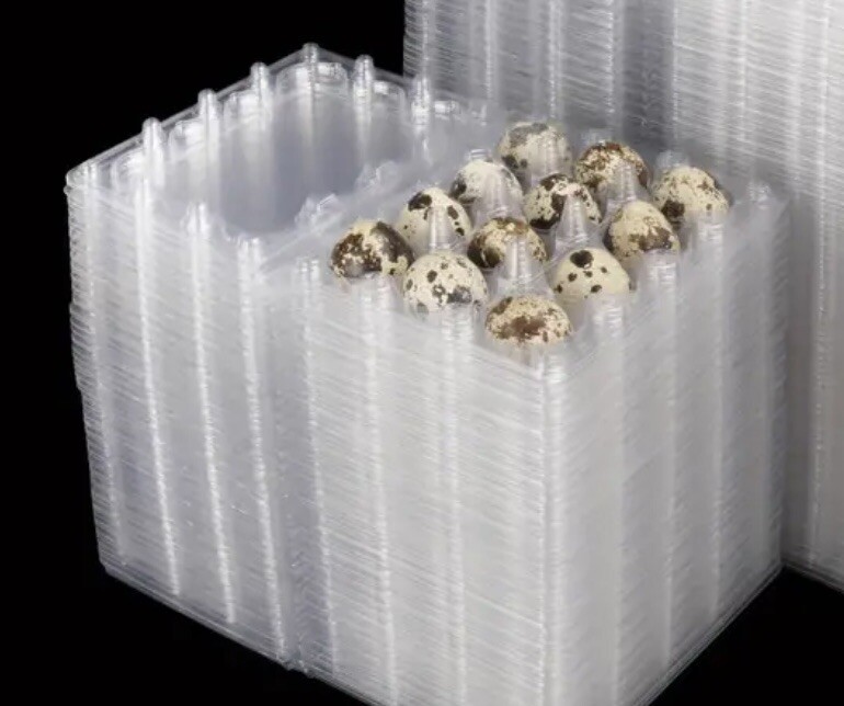 2 Dozen STANDARD Coturnix Hatching Eggs + Extra . NPIP / AI CLEAN
